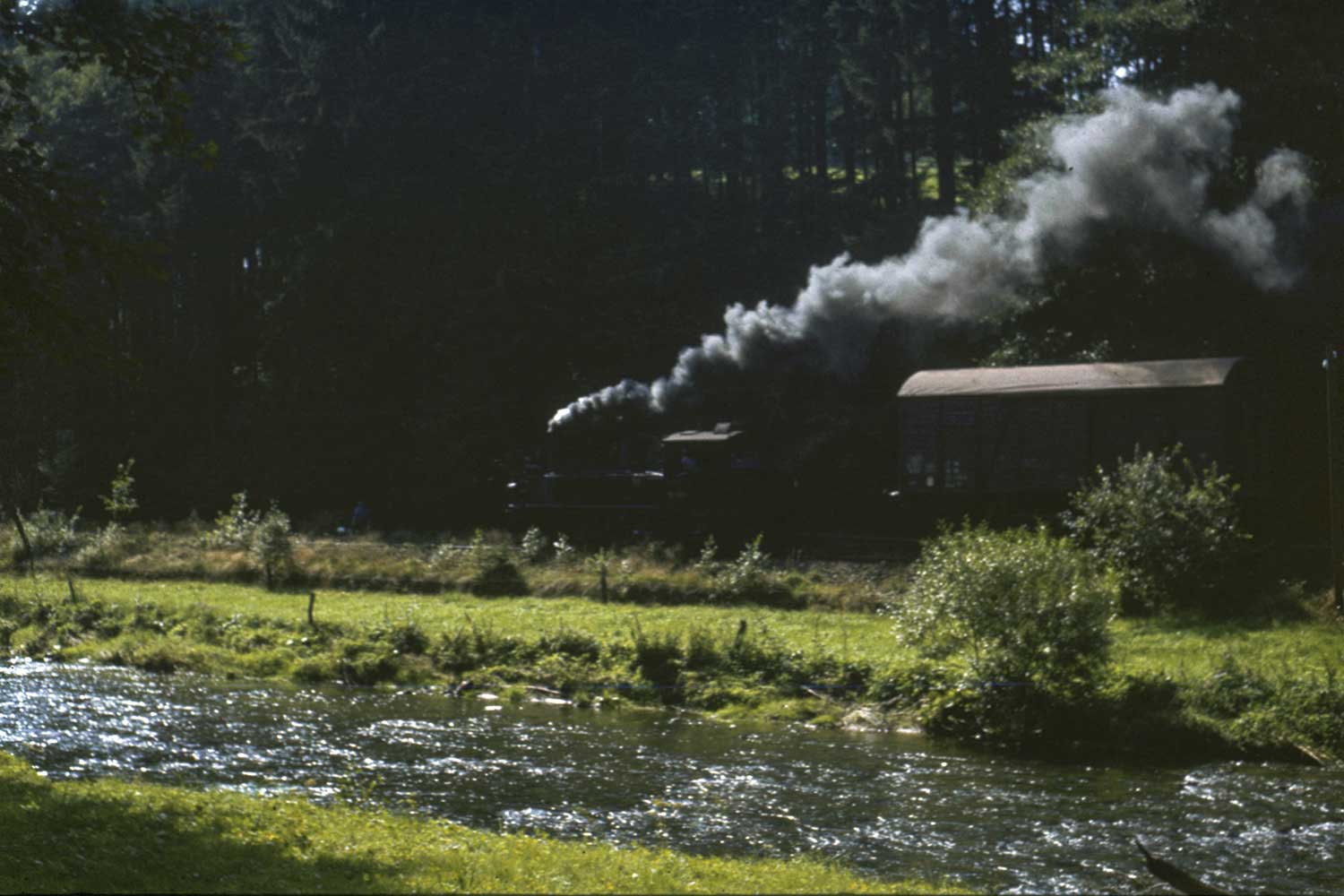 99 1585 bei der Anschlussbedienung hinter Streckewalde Bahn und Preßnitz