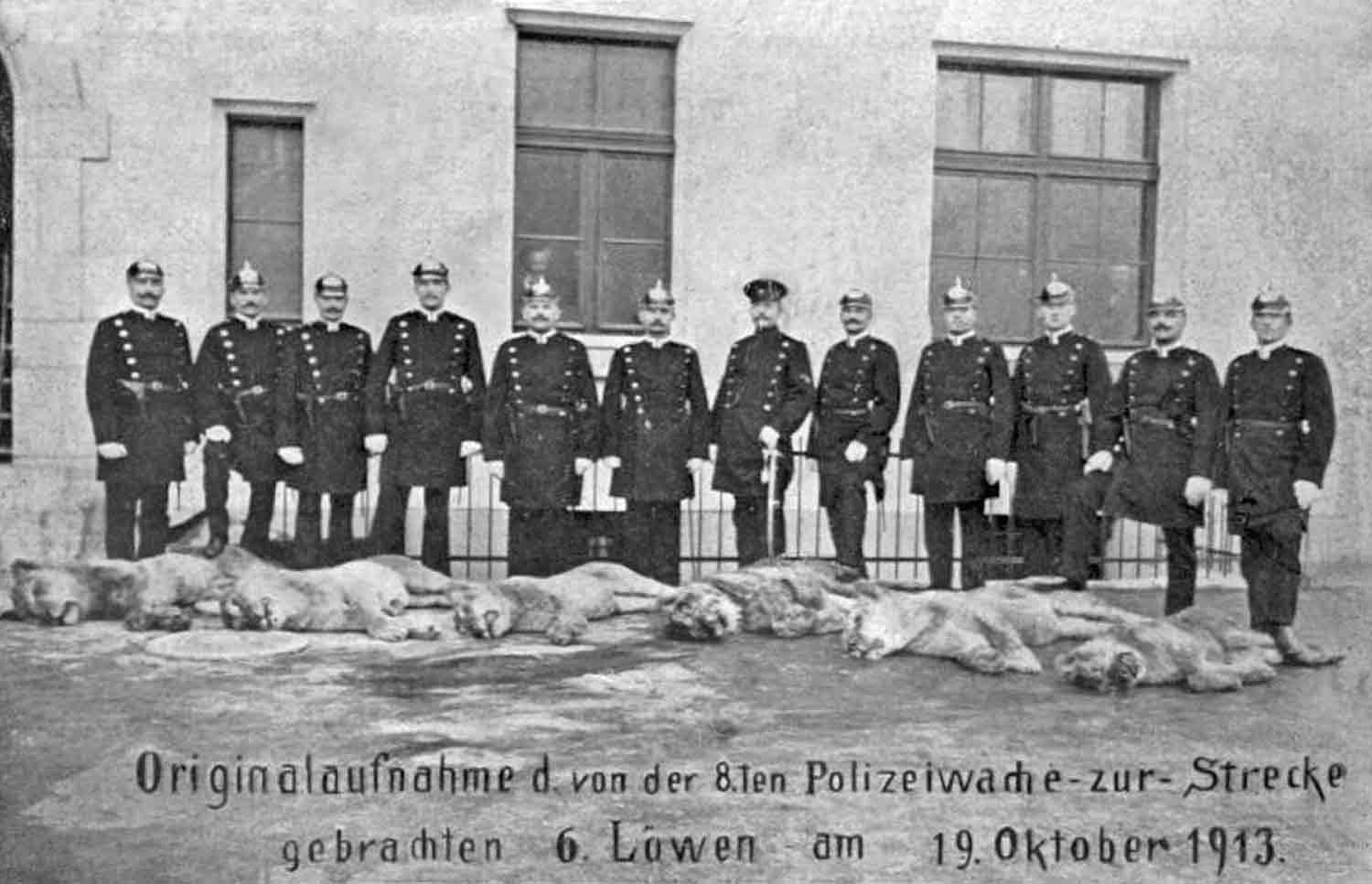 Jagdtrophäen auf zeitgenössischer Erinnerungs-Postkarte Postkarte Löwentrophäen