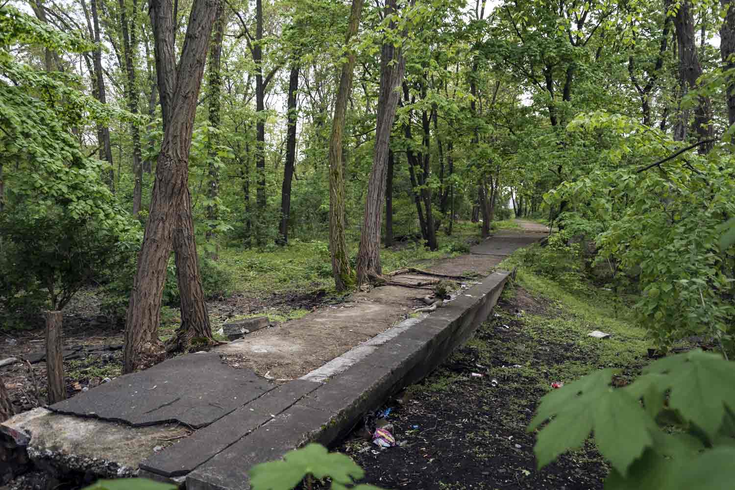 Im Gleisfeld des einstigen Kopfbahnhofes sind noch Reste der Bahnsteige vorhanden Bahnsteigreste im Wildwuchs