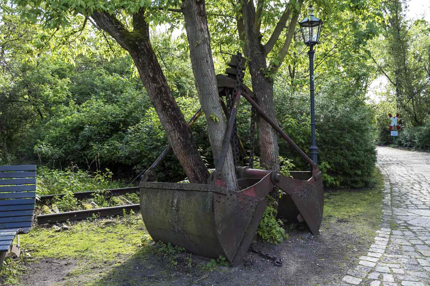 Wildwuchs und Tristesse im Niemandsland des Elise-Tilse-Parks Durch Greiferschaufel gewachsene Baumgruppe