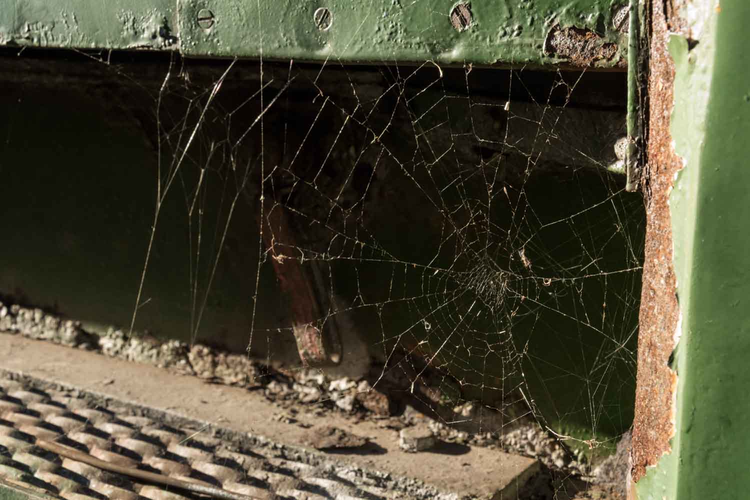 Trittstufe mit Spinnennetz an Doppelstockwagen, Herbst 2021 Spinnennetz an Wagen