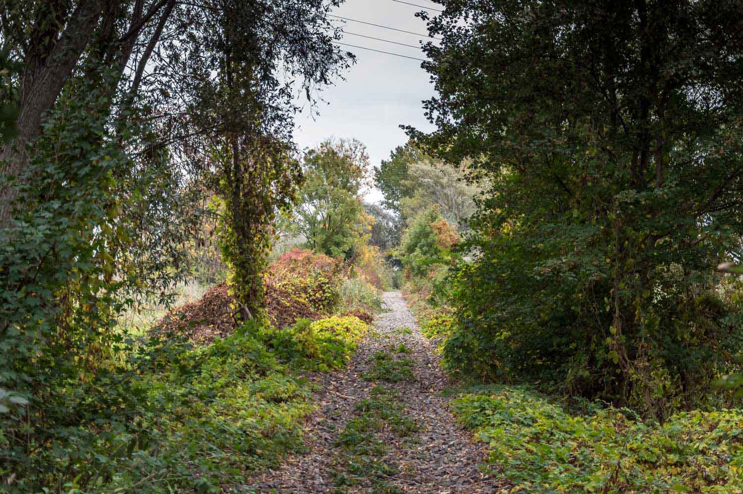 Streckenführung an der Landesgrenze