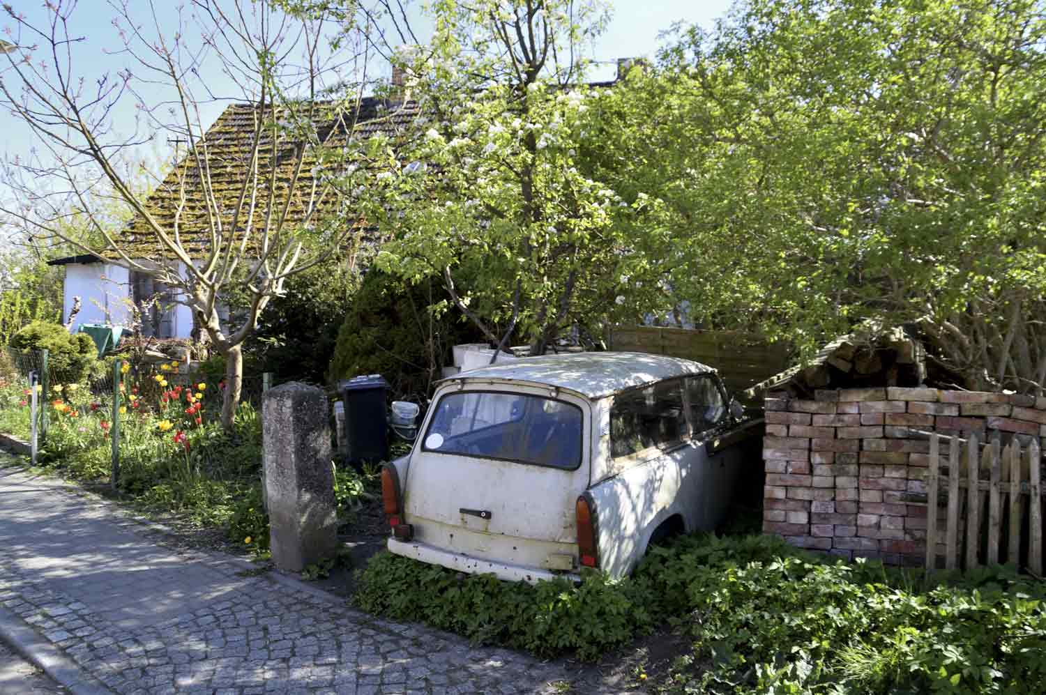 Trabant auf verwildertem Grundstück