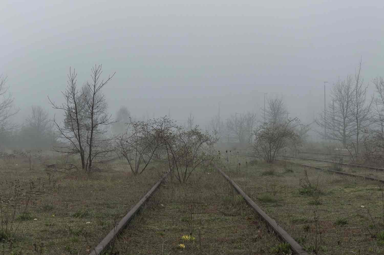 Reste des Rangierbahnhofs in Leipzig-Plagwitz - umhüllt vom Herbst und Verlassenheit Gleise im Nebel