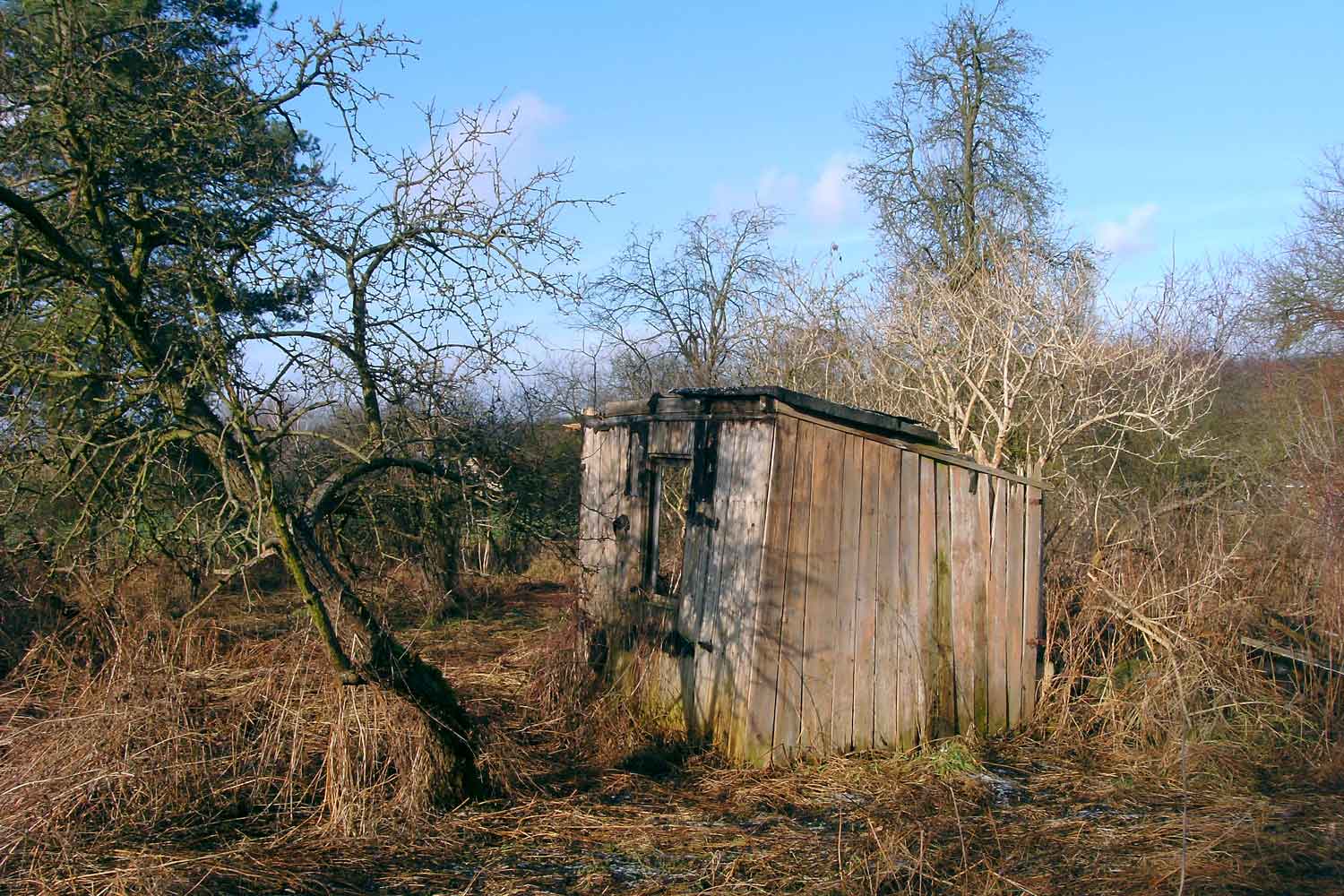 Verfallener Bauerngarten