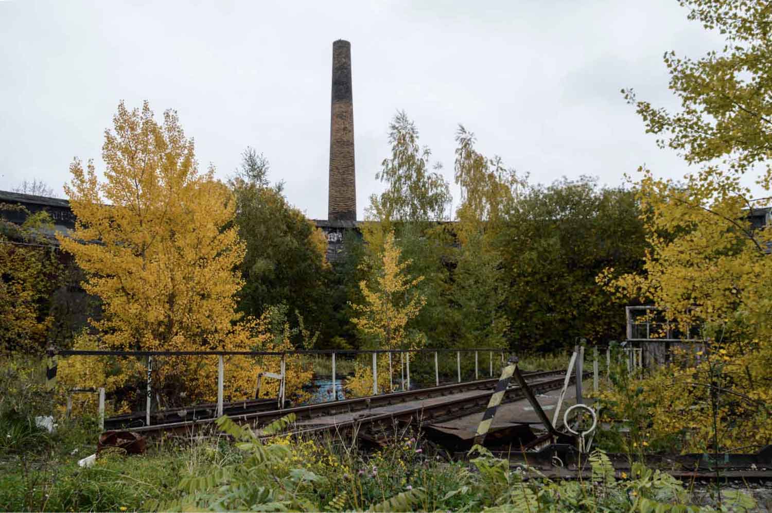 Lokschuppenruine im Herbstlaub