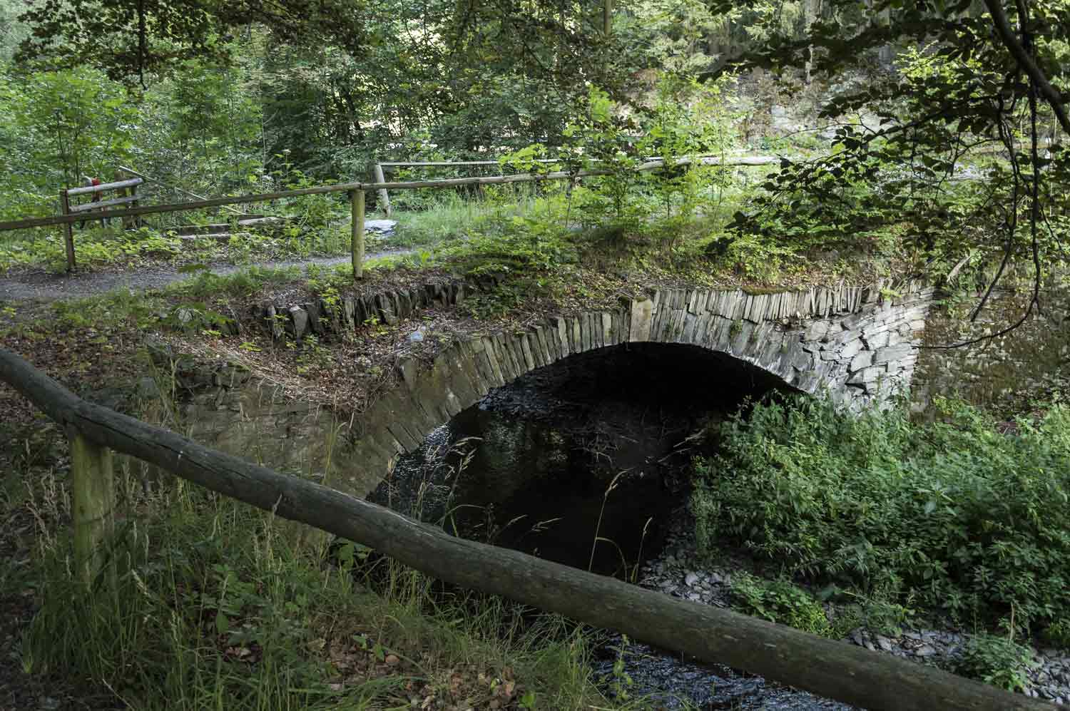 Brücke im Wald