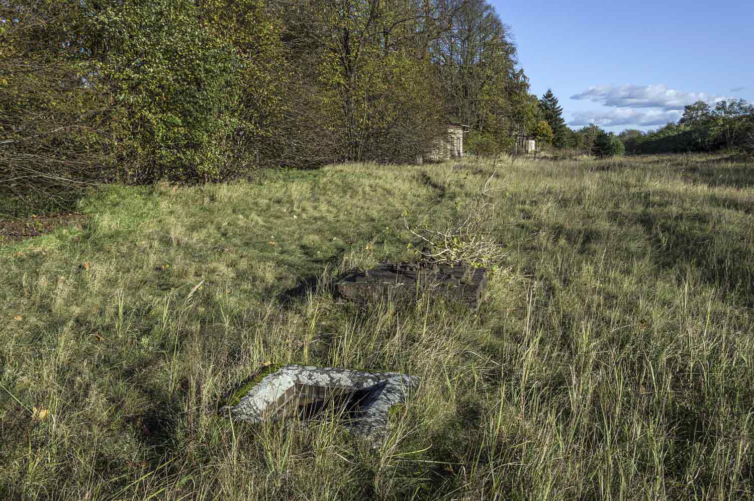 Blick über den ehemaligen Bahnhof Dömitz Gleise im Wildwuchs