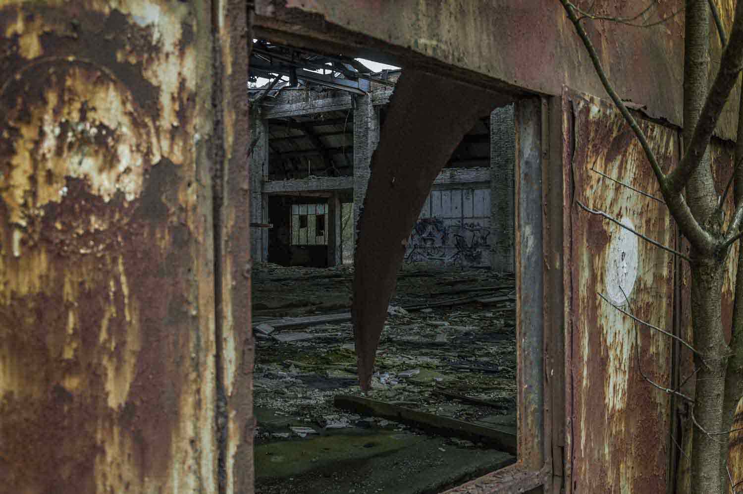 Tür an verfallenem Hangar eines Fliegerhorstes Türfenster Hangar