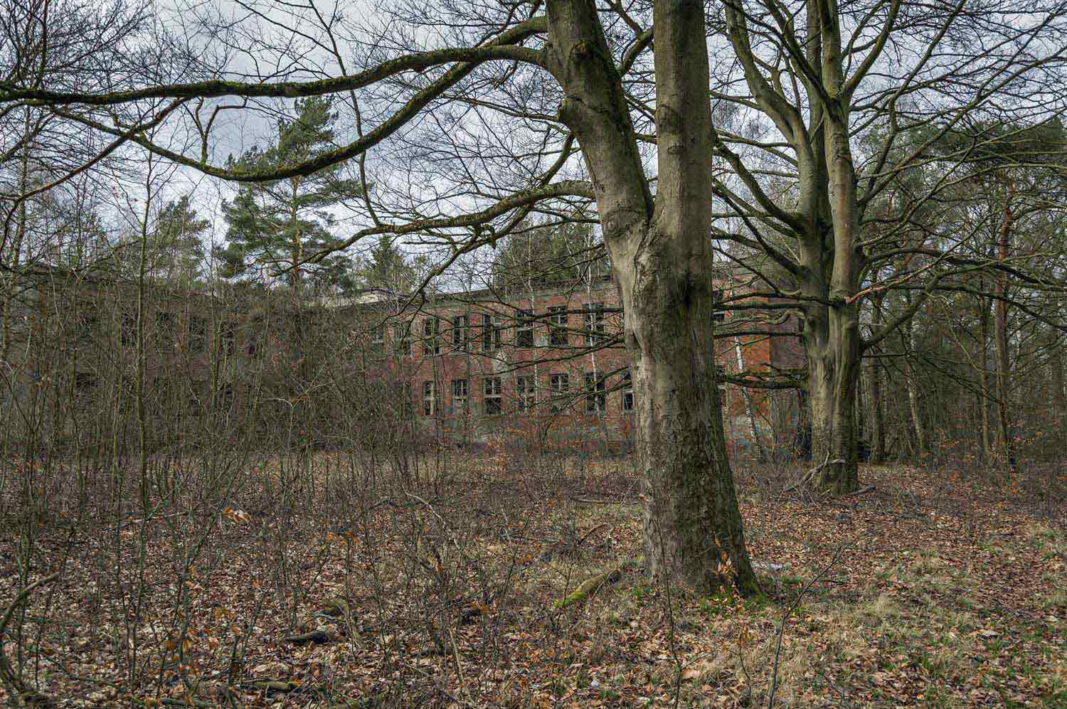 Ruine in Vegetation