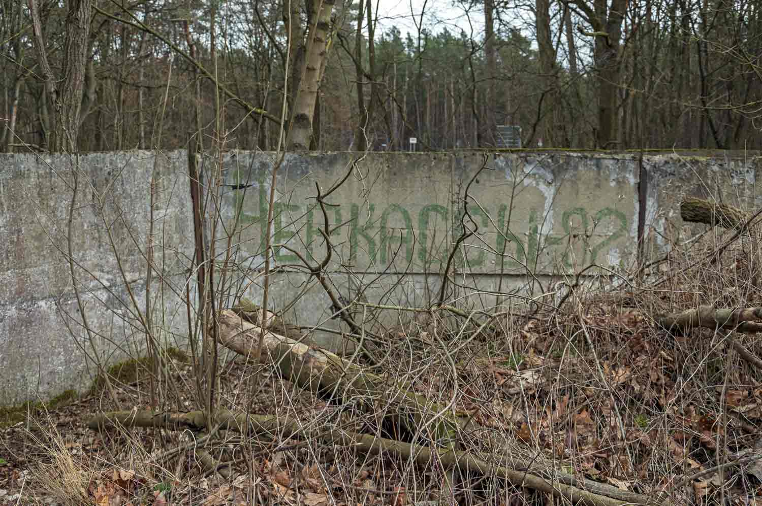 Betonmauer hinter Wildwuchs, darauf mit grüner Farbe der Schriftzug 'Черкассы' (Tscherkassy)