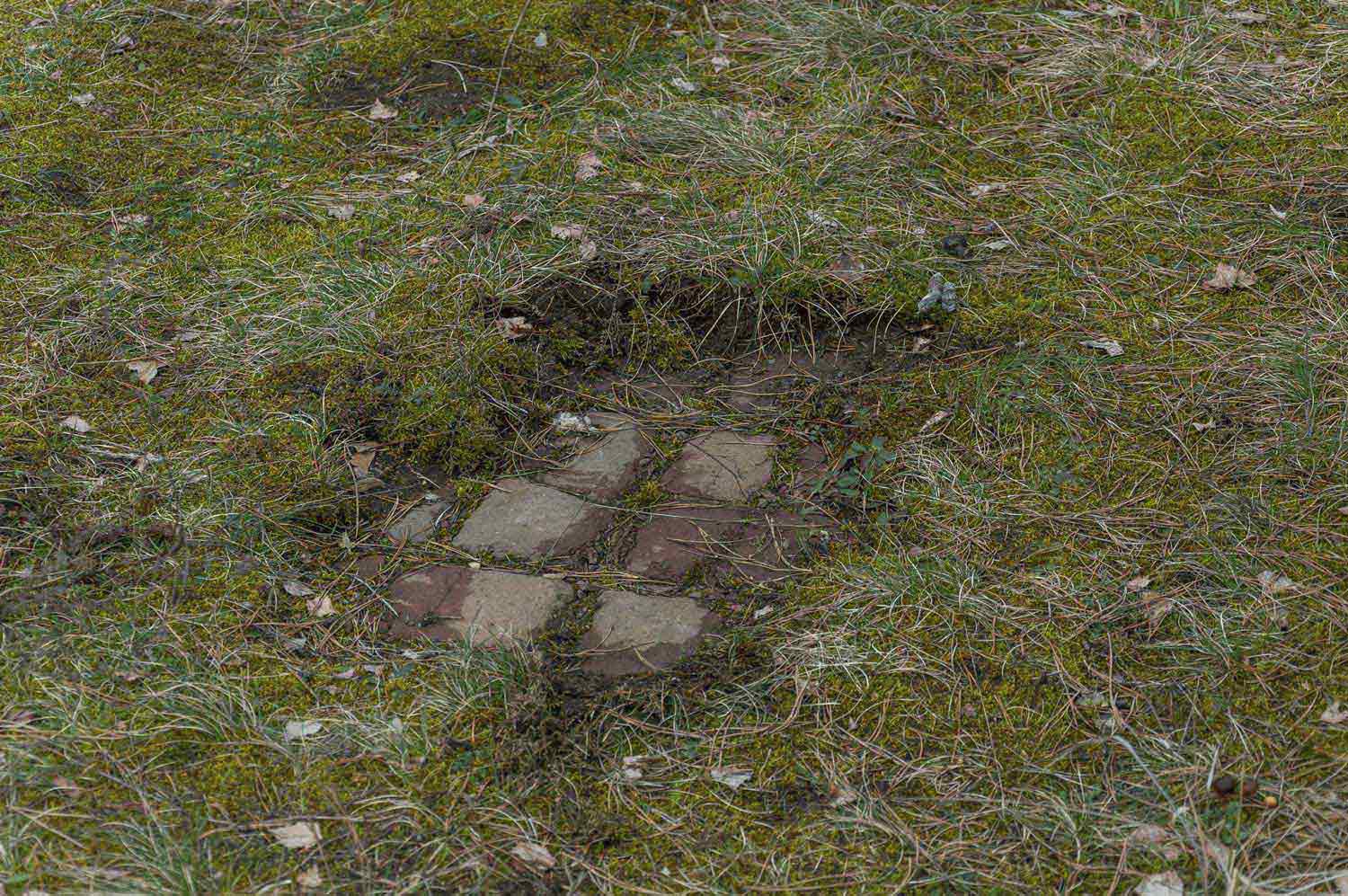 Grasdecke über dem Rollfeld