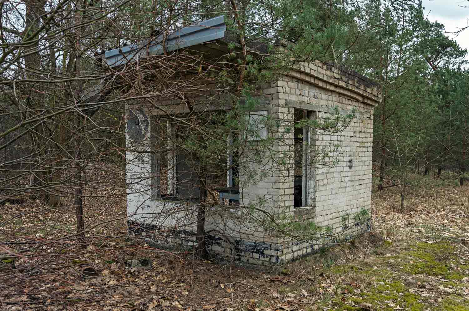 Einzelnes kleines Wachgebäude hinter emporgewachsener Vegetation