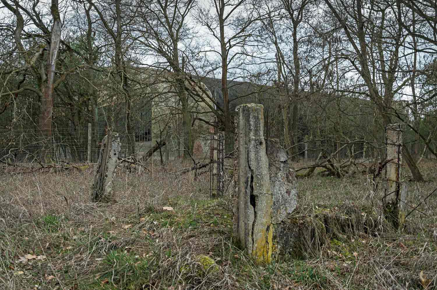 Einzelne Betonstelen unter kahlen Bäumen mit schemenhaft erkennbaren Gebäuden im Hintergrund