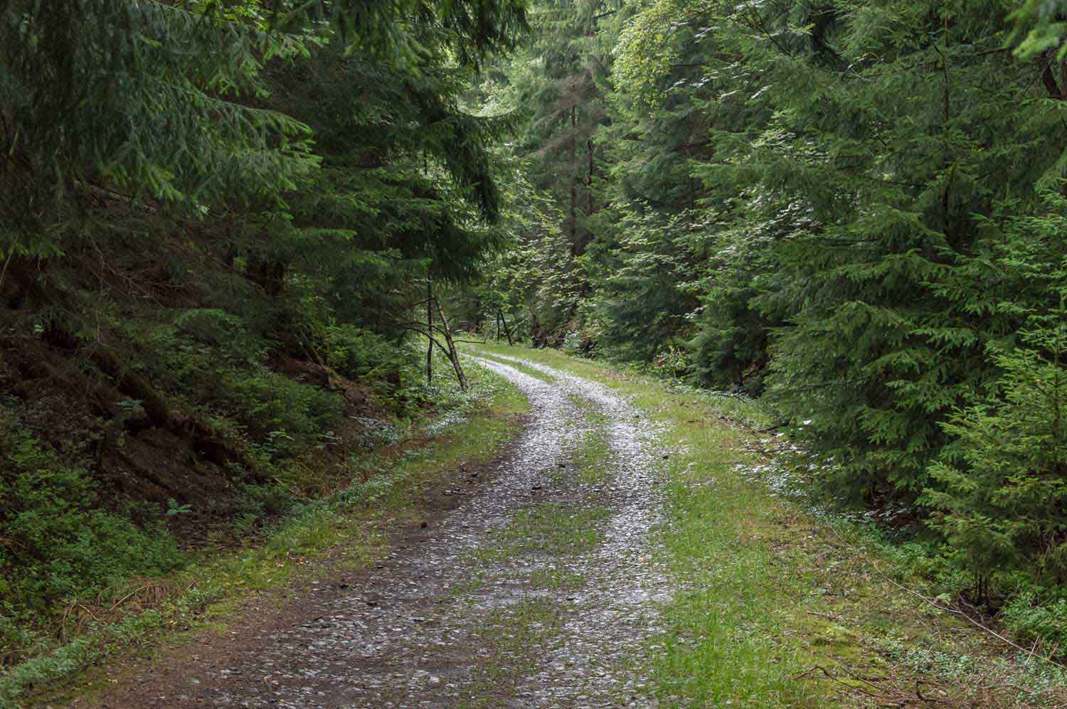 Strecke als Wanderweg