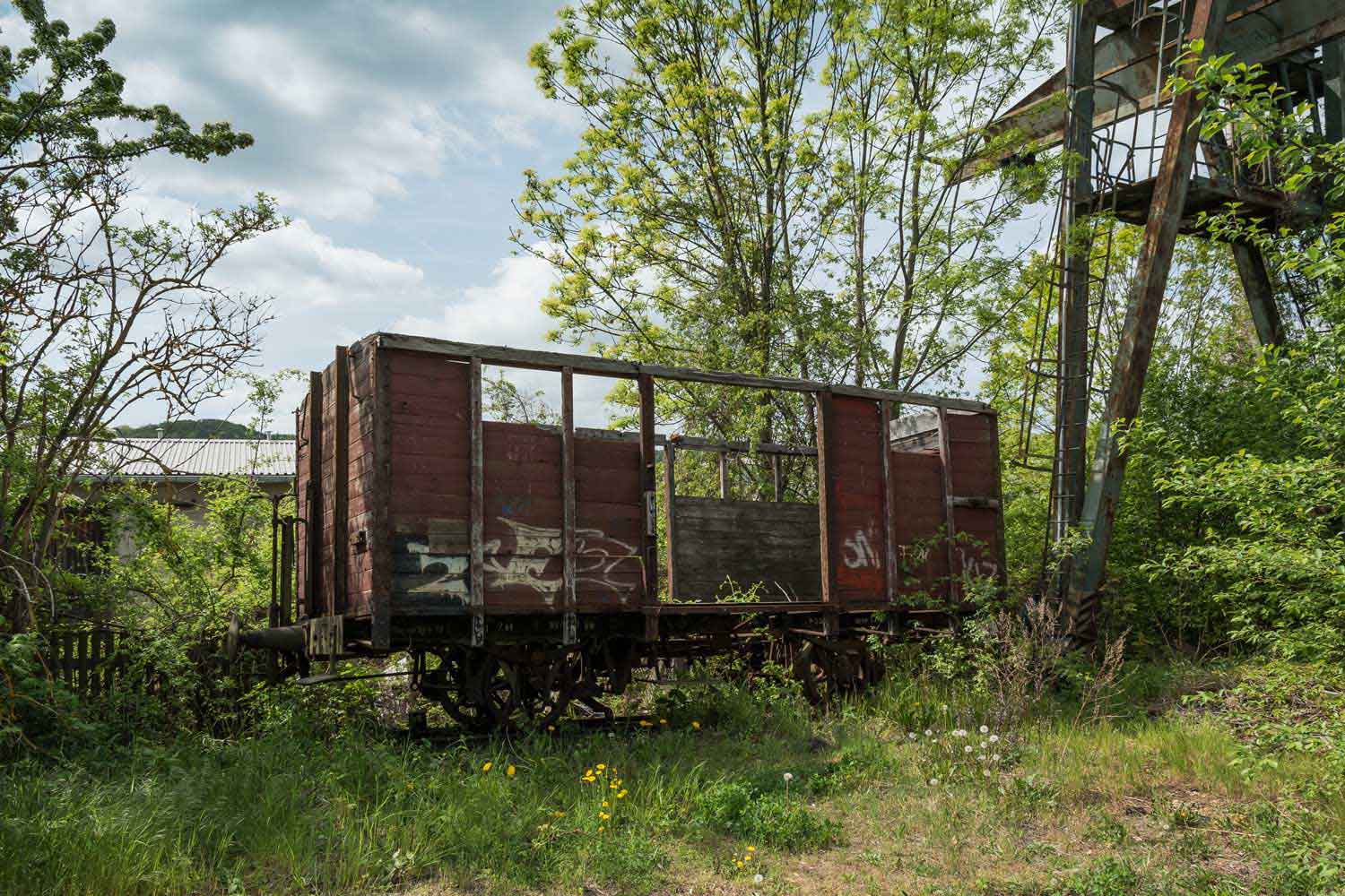 Reste eines alten Güterwagens
