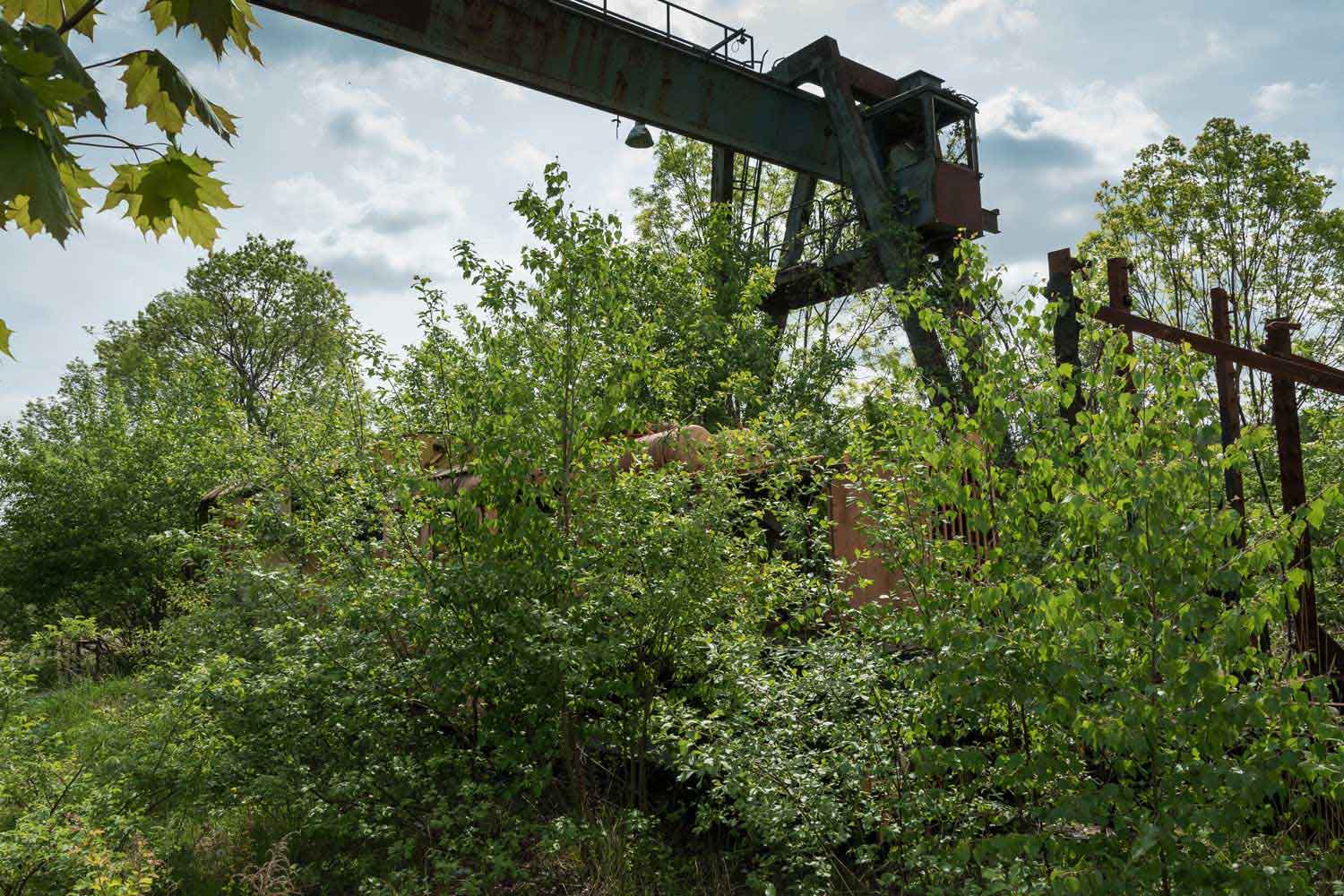 Portalkran in der Vegetation