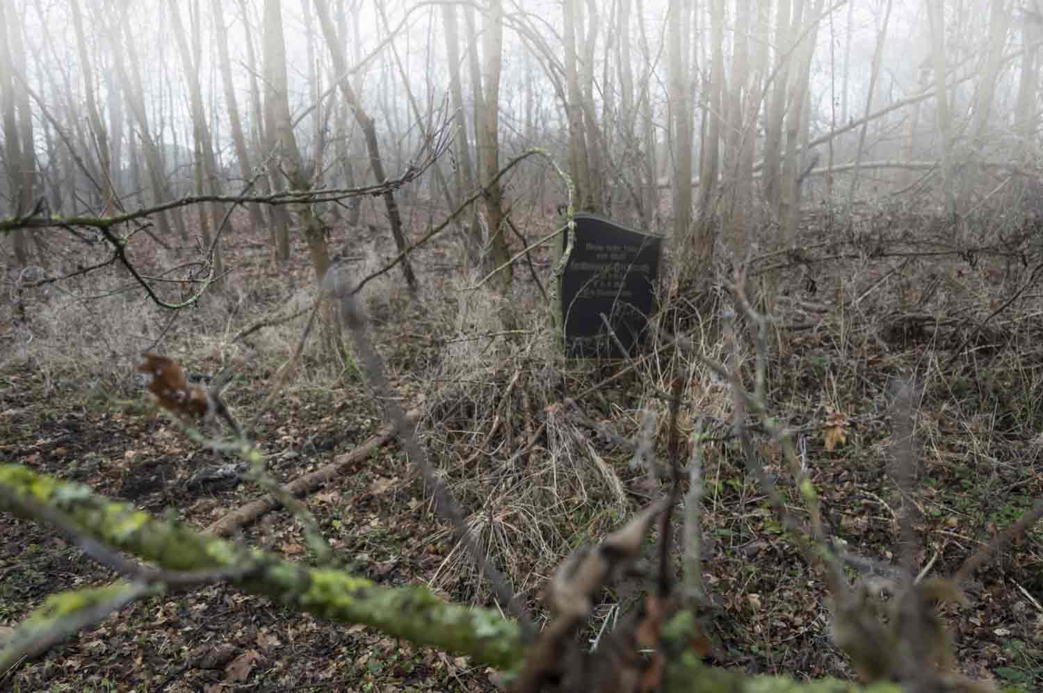 Ein verlassener Friedhof - Auch das Gedenken hat seine zeitlichen Grenzen Grab im Wildwuchs