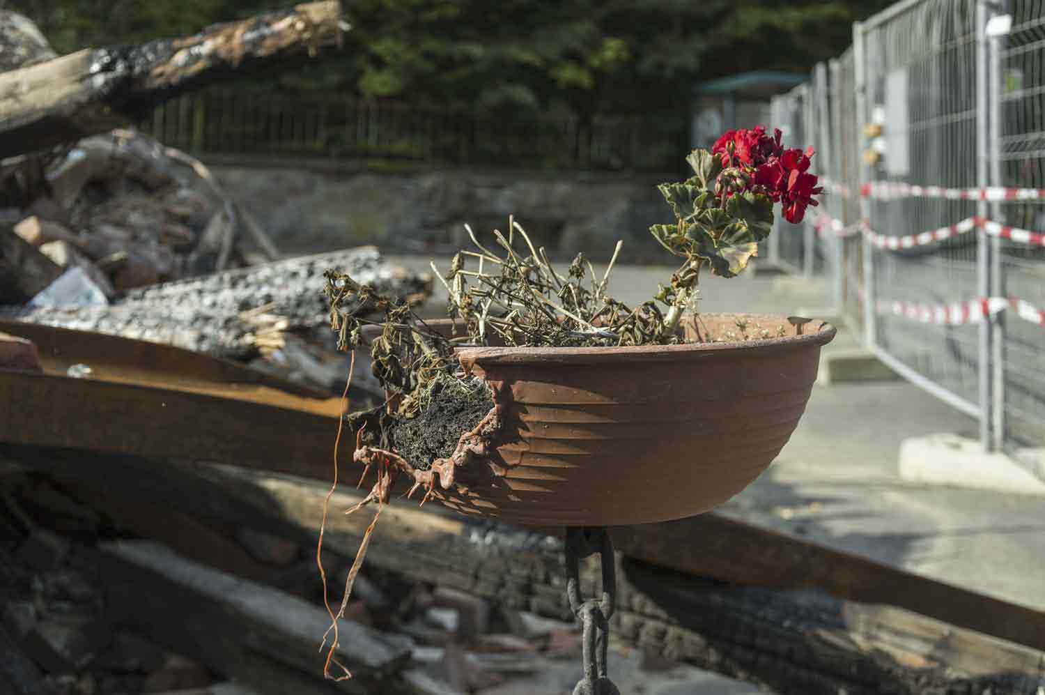 Blumentopf steht für enormen Brandschaden Reste Blumentopf
