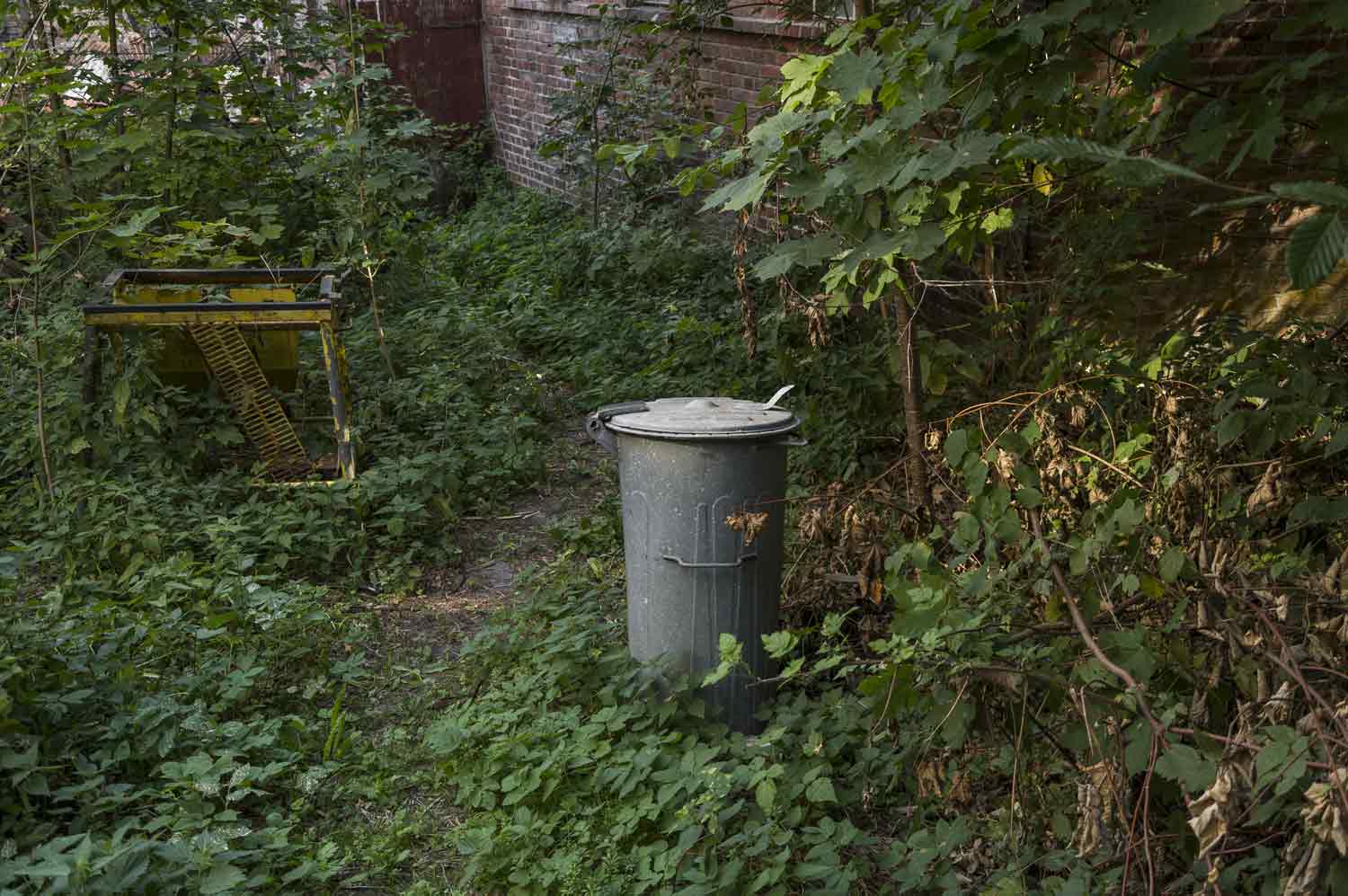 Mülltonne im Hofbereich des Areals Mülltonne im Hofbereich