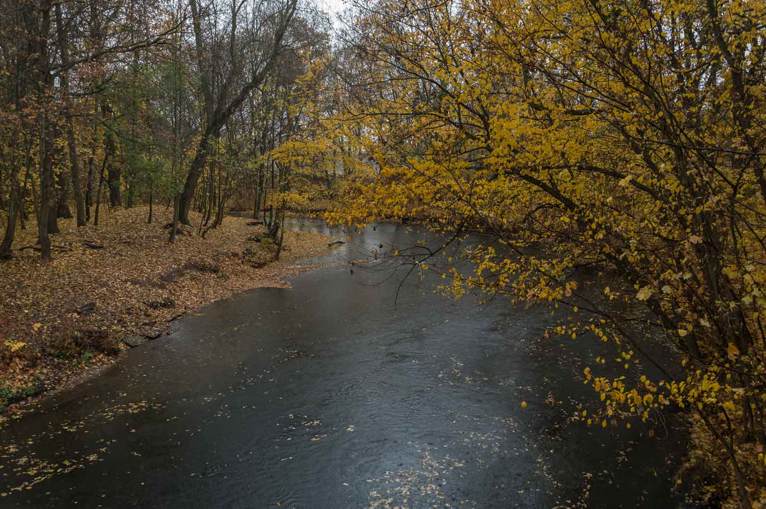 Fluss im Herbstwald