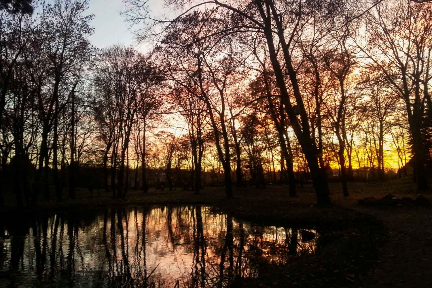 Herbstlicher Sonnenuntergang