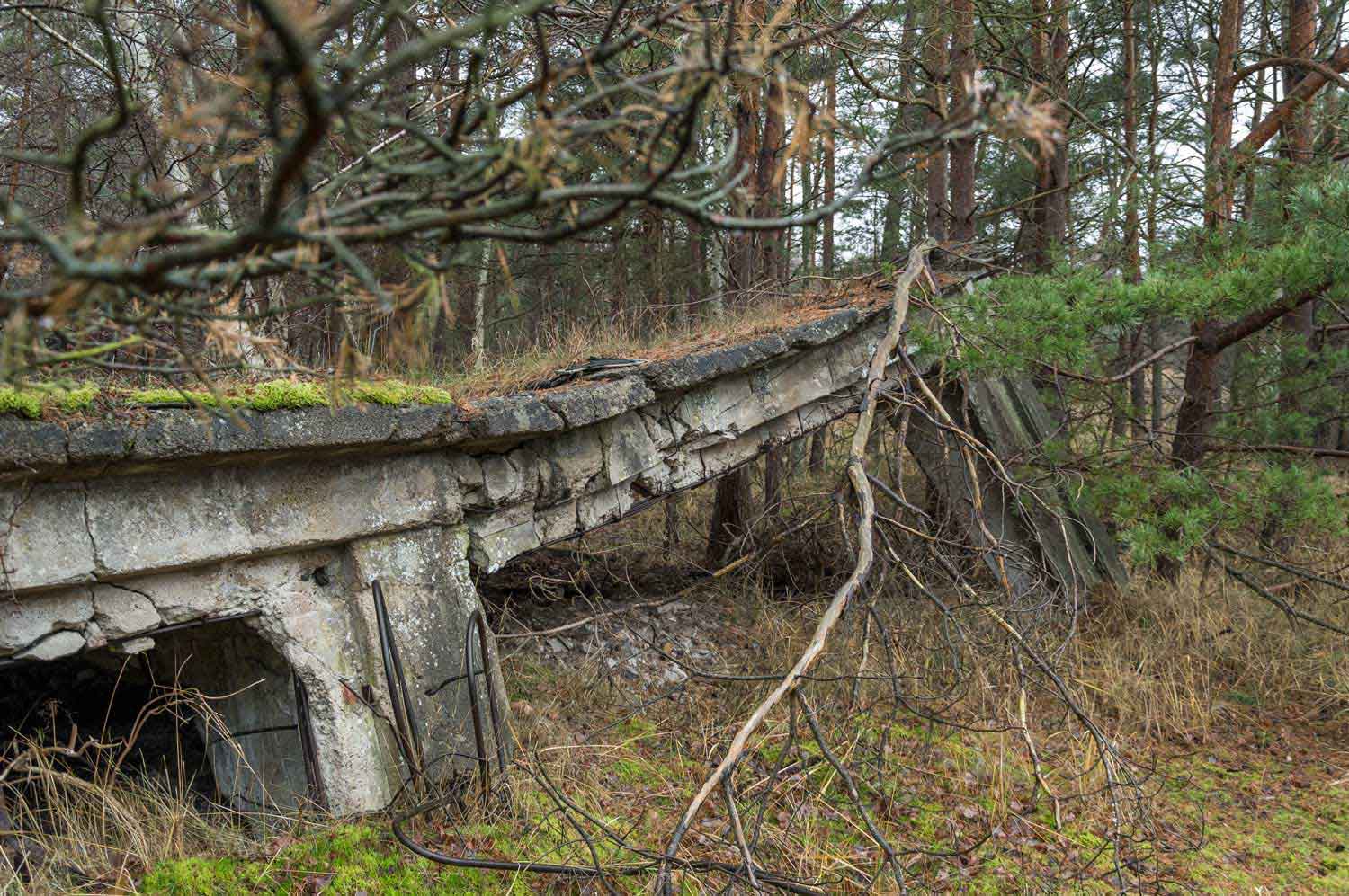 Betonrest in Natur