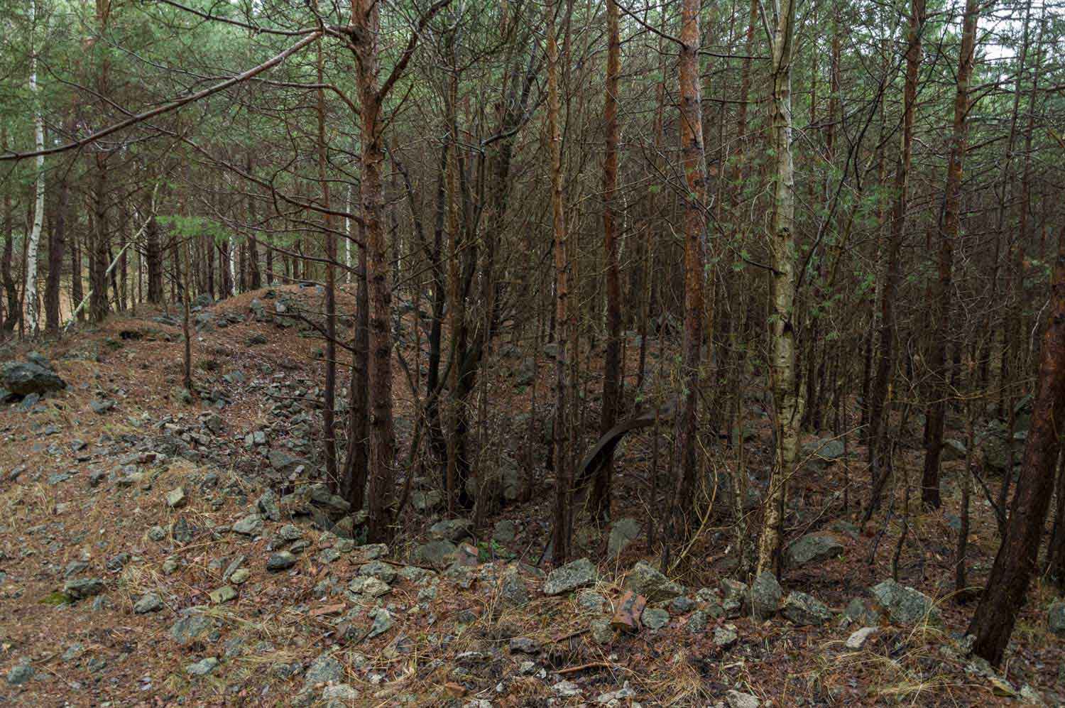 Trümmerschutt im Wald