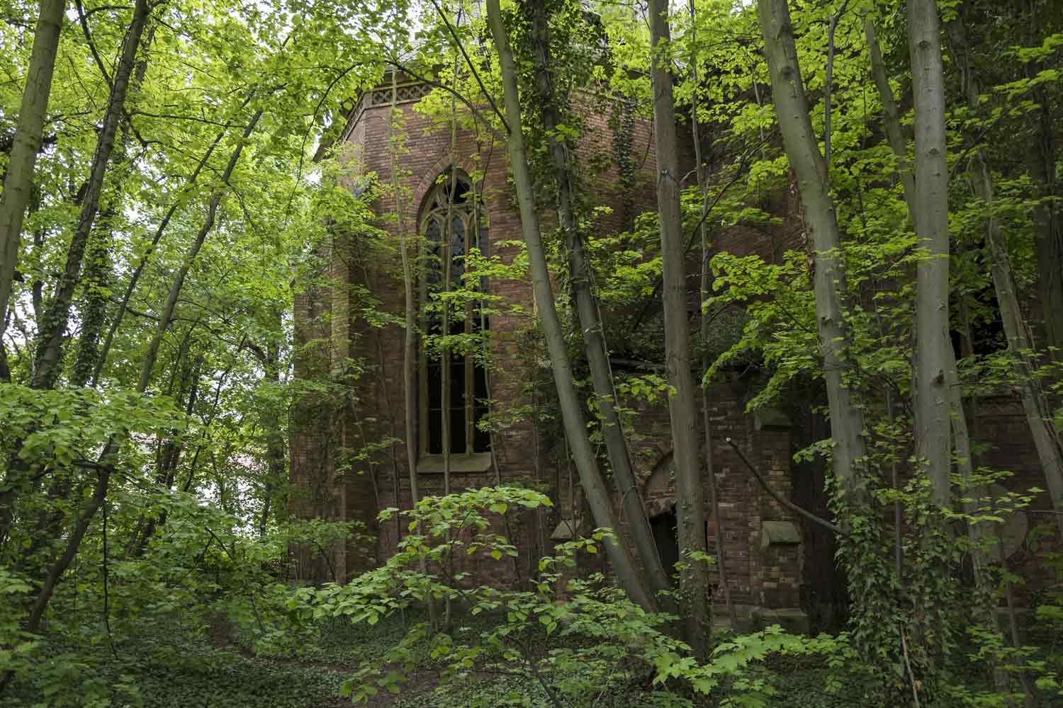 Kirche St. Nikolai inmitten einer Stadtbrache in Zeitz Kirche im Wildwuchs