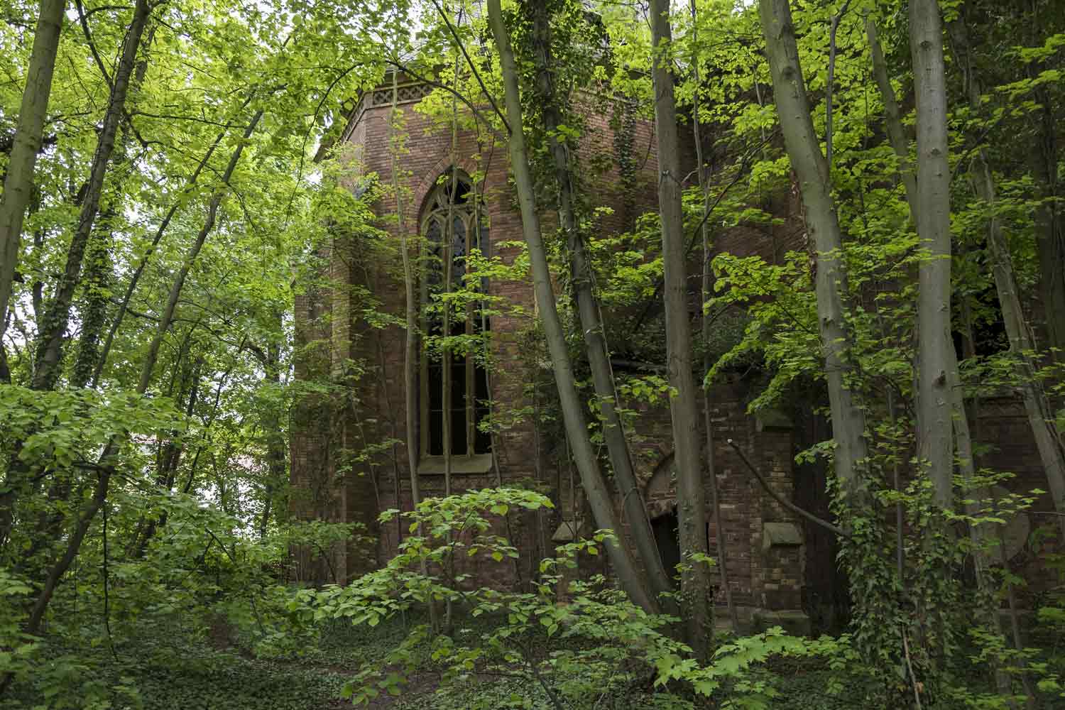 Kirche im Wildwuchs