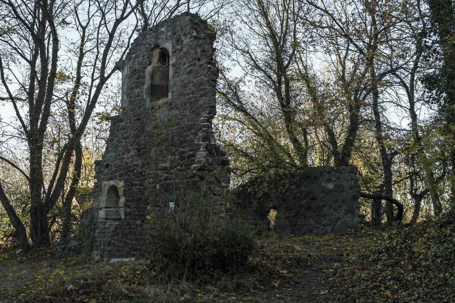 Ruine Alte Kapelle