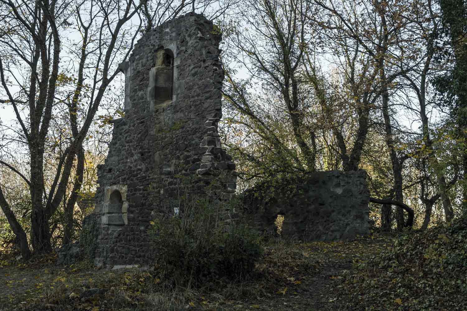 Ruine der Alten Kapelle auf dem Petersberg Ruine Alte Kapelle