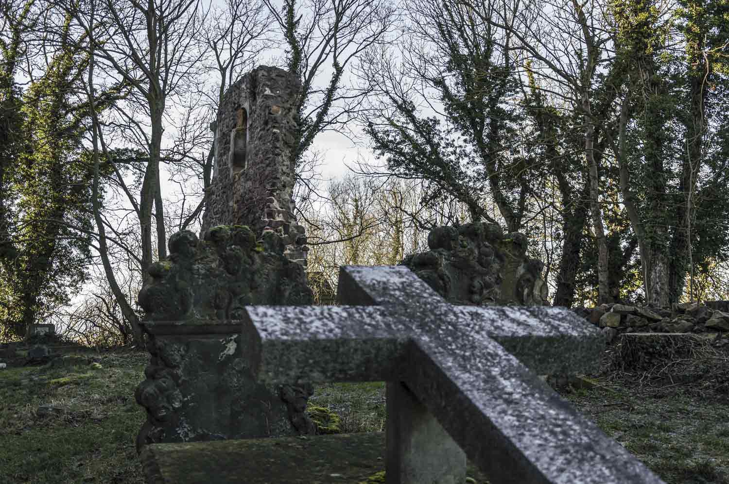 Zum Beitrag 'Macht hoch die Tür ...' Stiftsruine Petersberg