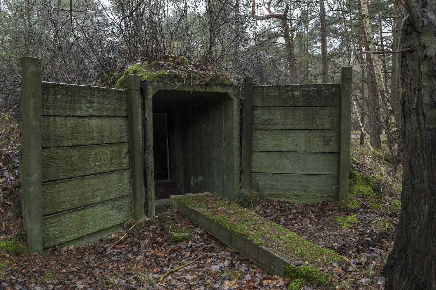 Bunkereingang im Wald