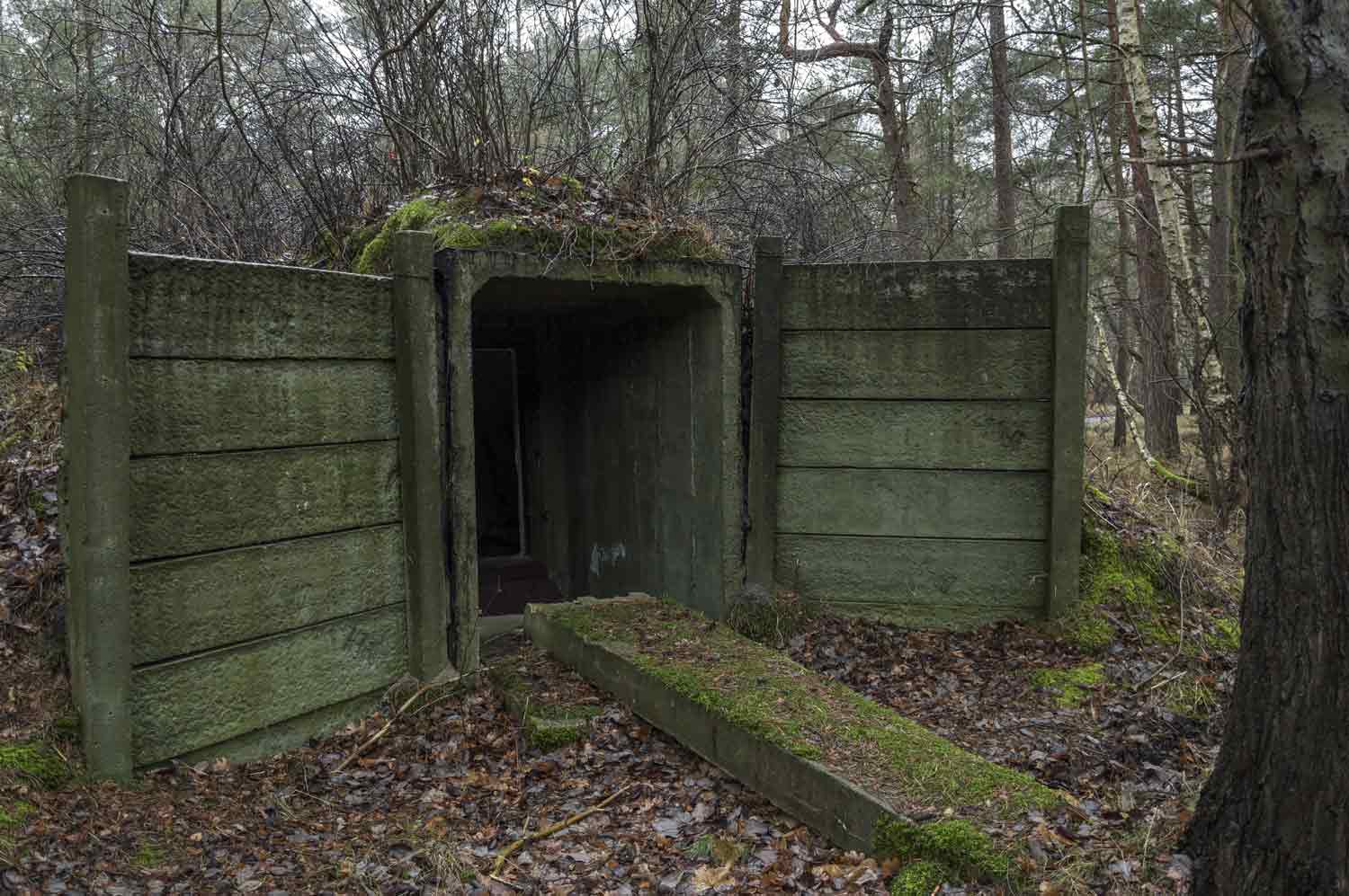 Bunkereingang auf dem Gelände der Heeresversuchsanstalt Bunkereingang im Wald