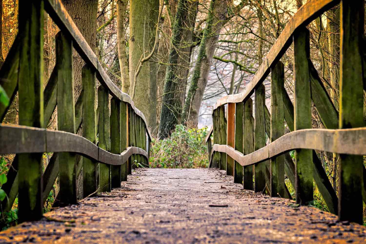 Brücke in Park
