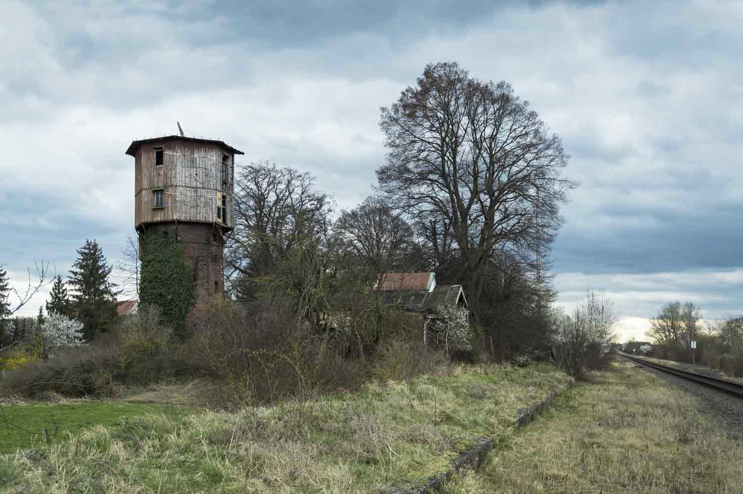 Wasserturm im Wildwuchs