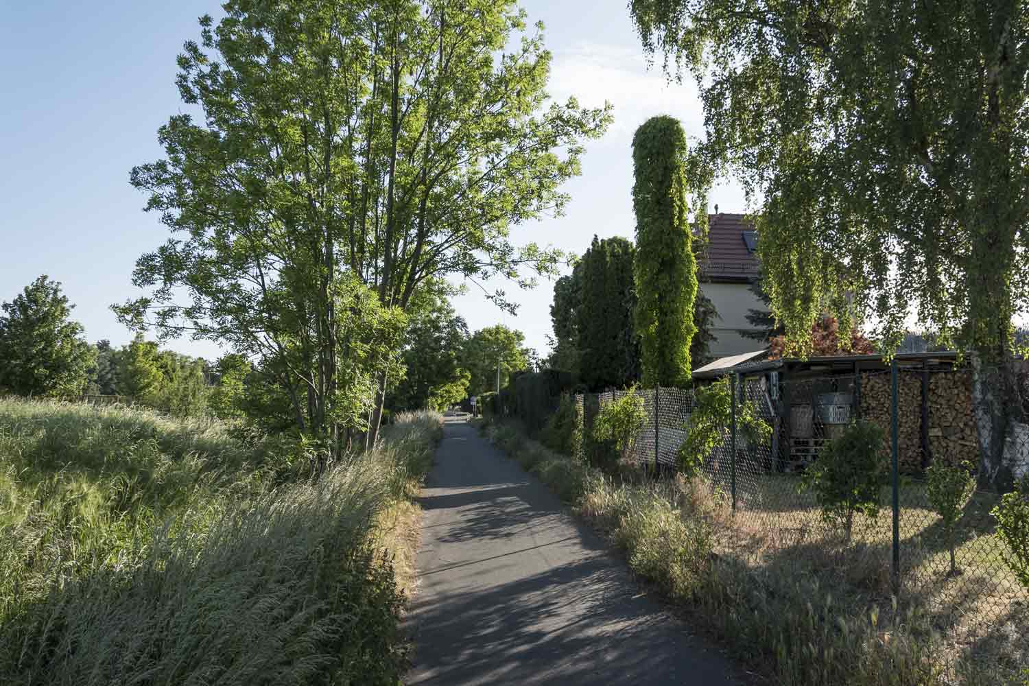 Grünanlage am Radweg