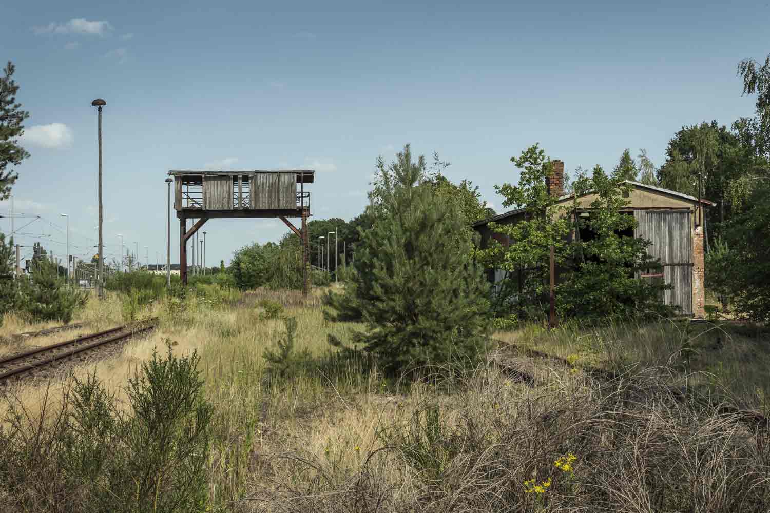 Die Reste des Güterbahnhofs Oschatz in der Vegetation Totale Güterbahnhof