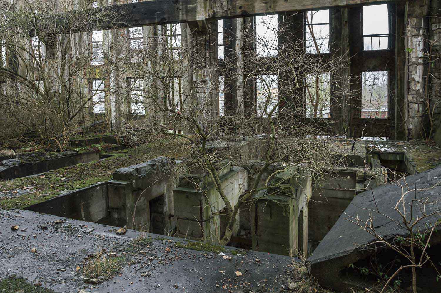 Vegetation im Gebäude