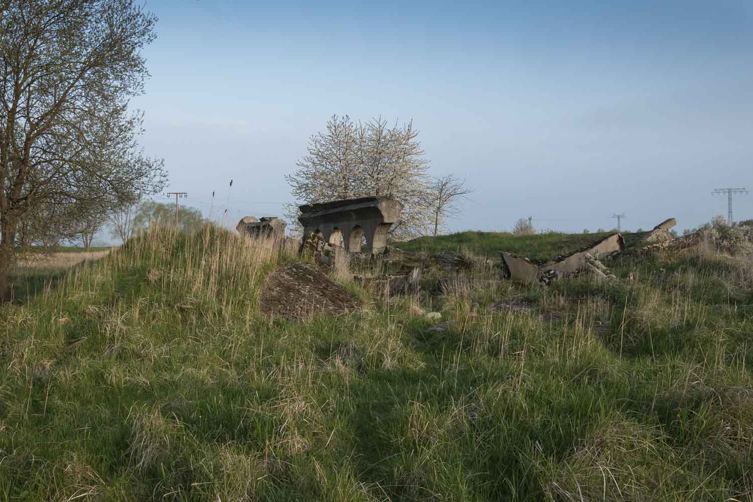 Die Bunker wirken heute wie ein Teil der sie umgebenen Natur Bunkerrest in der Natur