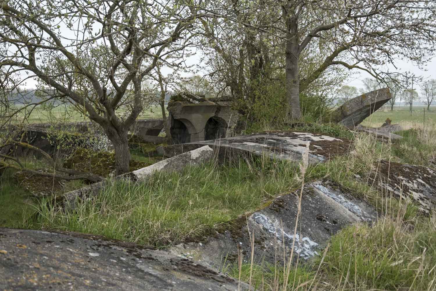 Natur zwischen den Resten von Raketenbunker 7 Bäume und Wiese neben Beton
