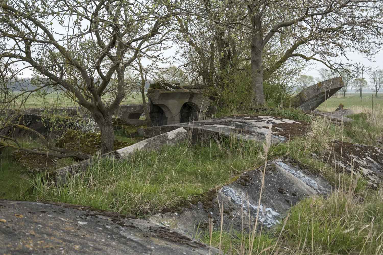 Bäume und Wiese neben Beton