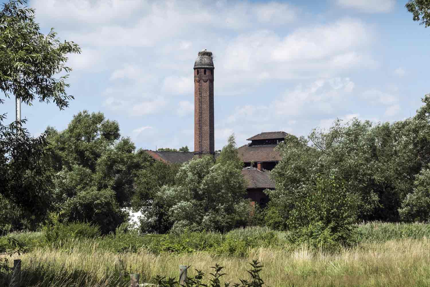 Kunstvoller Schornstein des alten Schlachthofs in Zittau Schornstein im Grünen