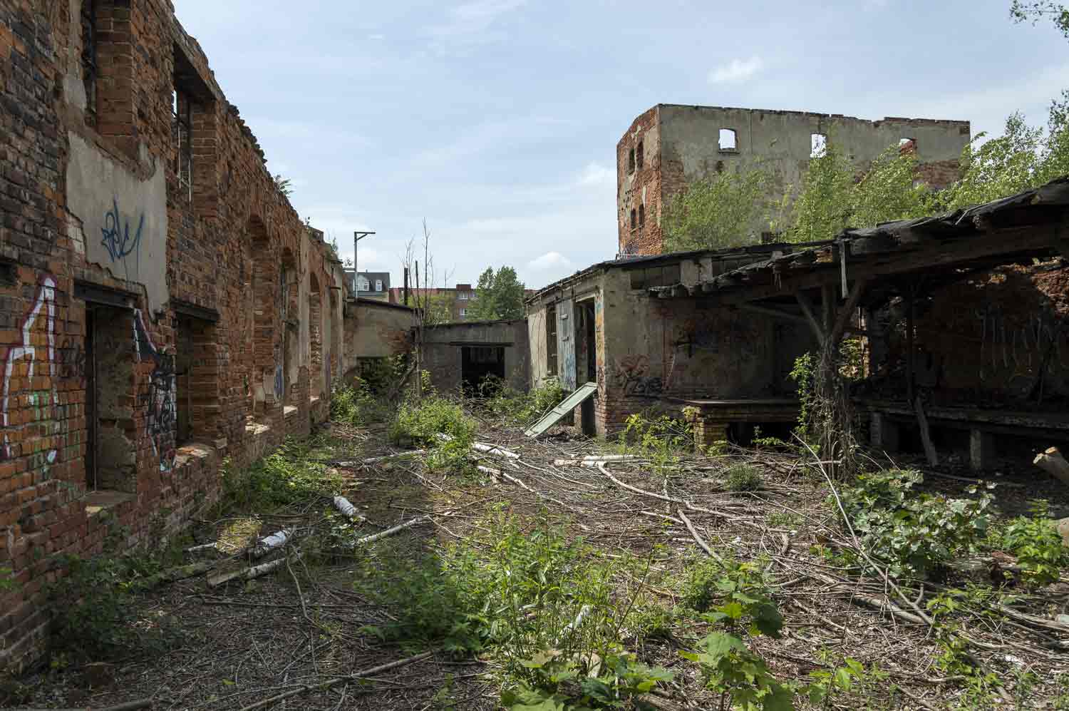 Der Hof an den Lager- und Verladegebäude Richtung Südwesten Brach liegender Hof