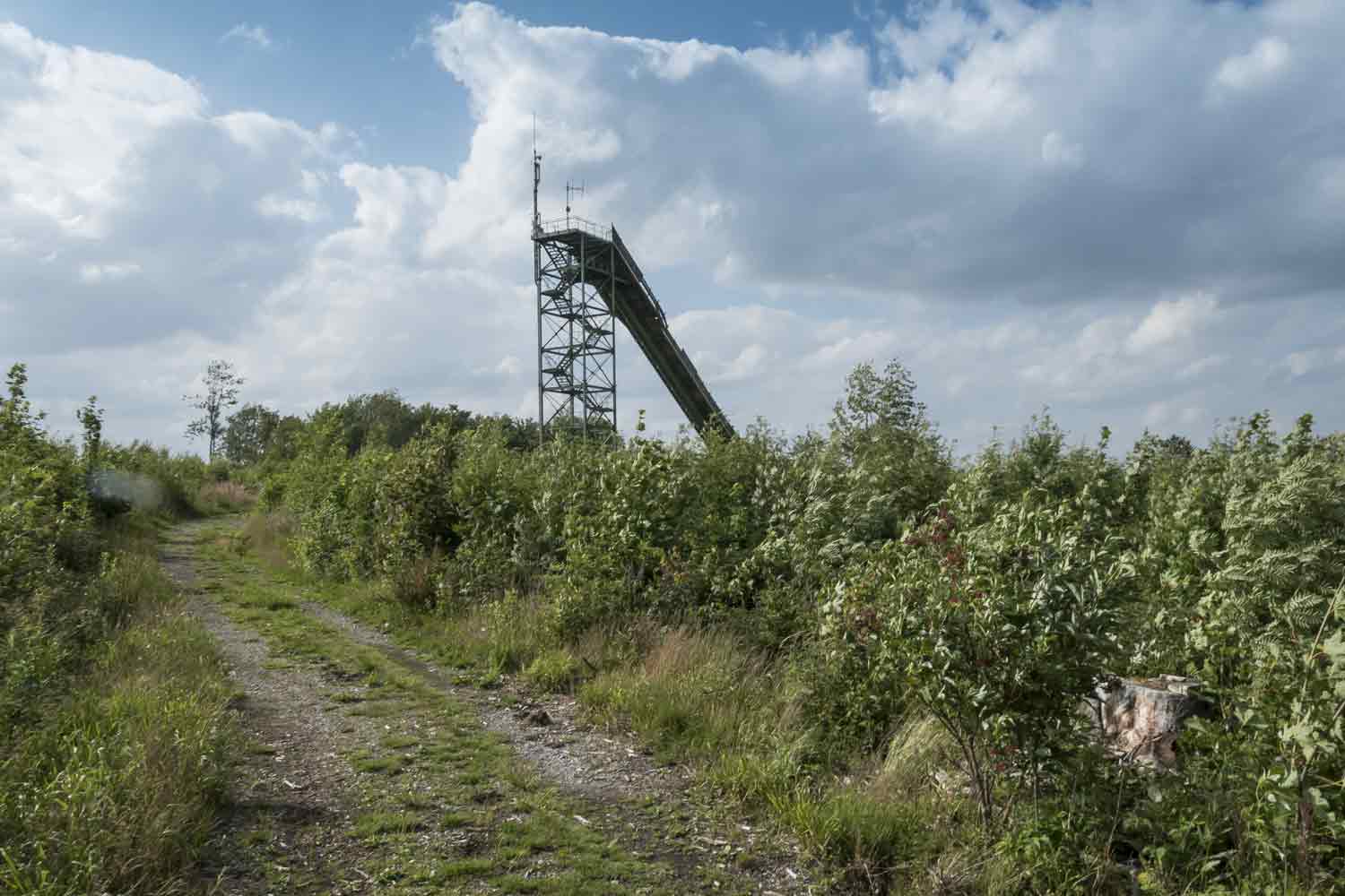 Sprungschanze in junger Vegetation