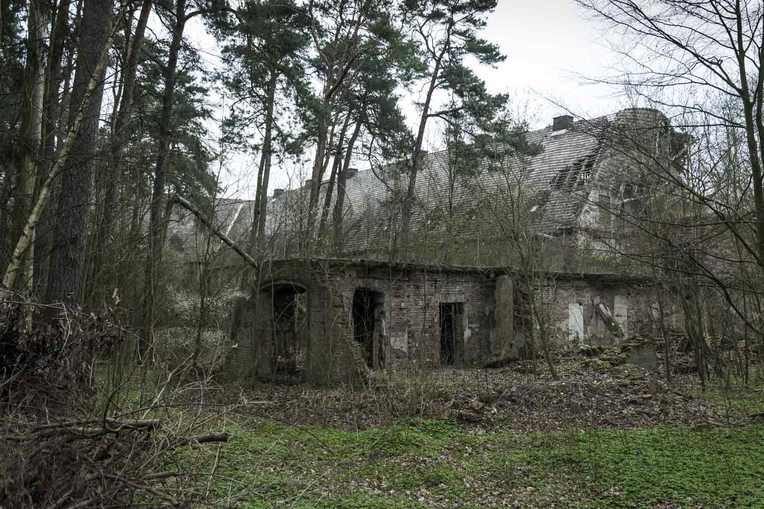 Ruinen im Wald