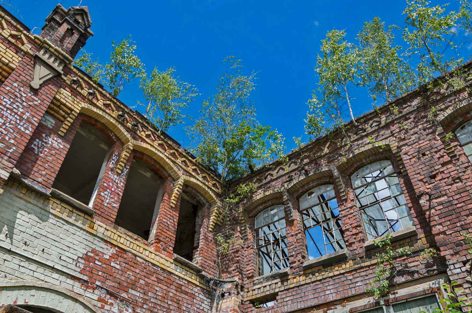 Baumbewuchs dekoriert die narbige Fassade der Fabrikanlage Fassade mit Bäumen