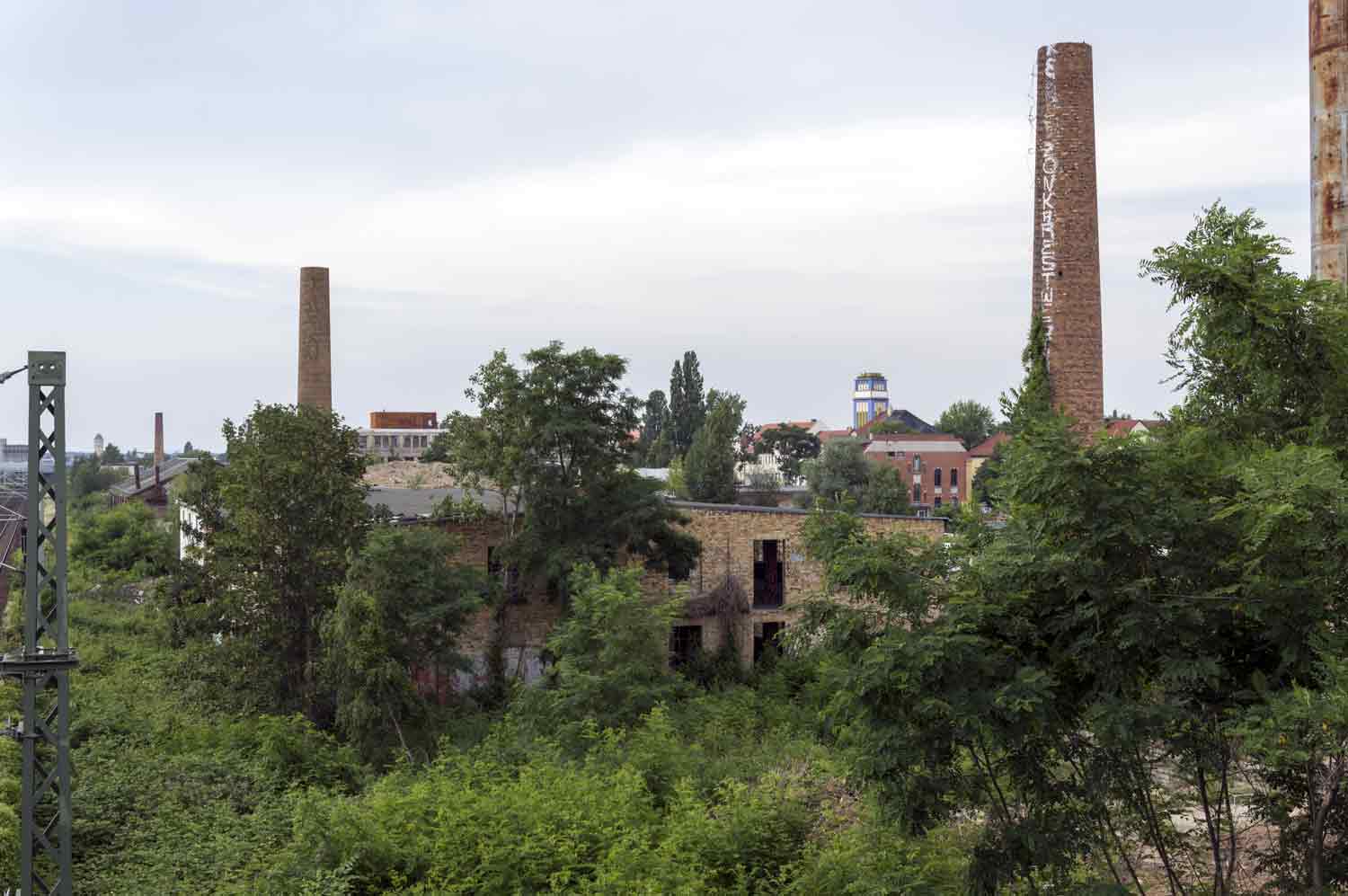 Brache im Grünen