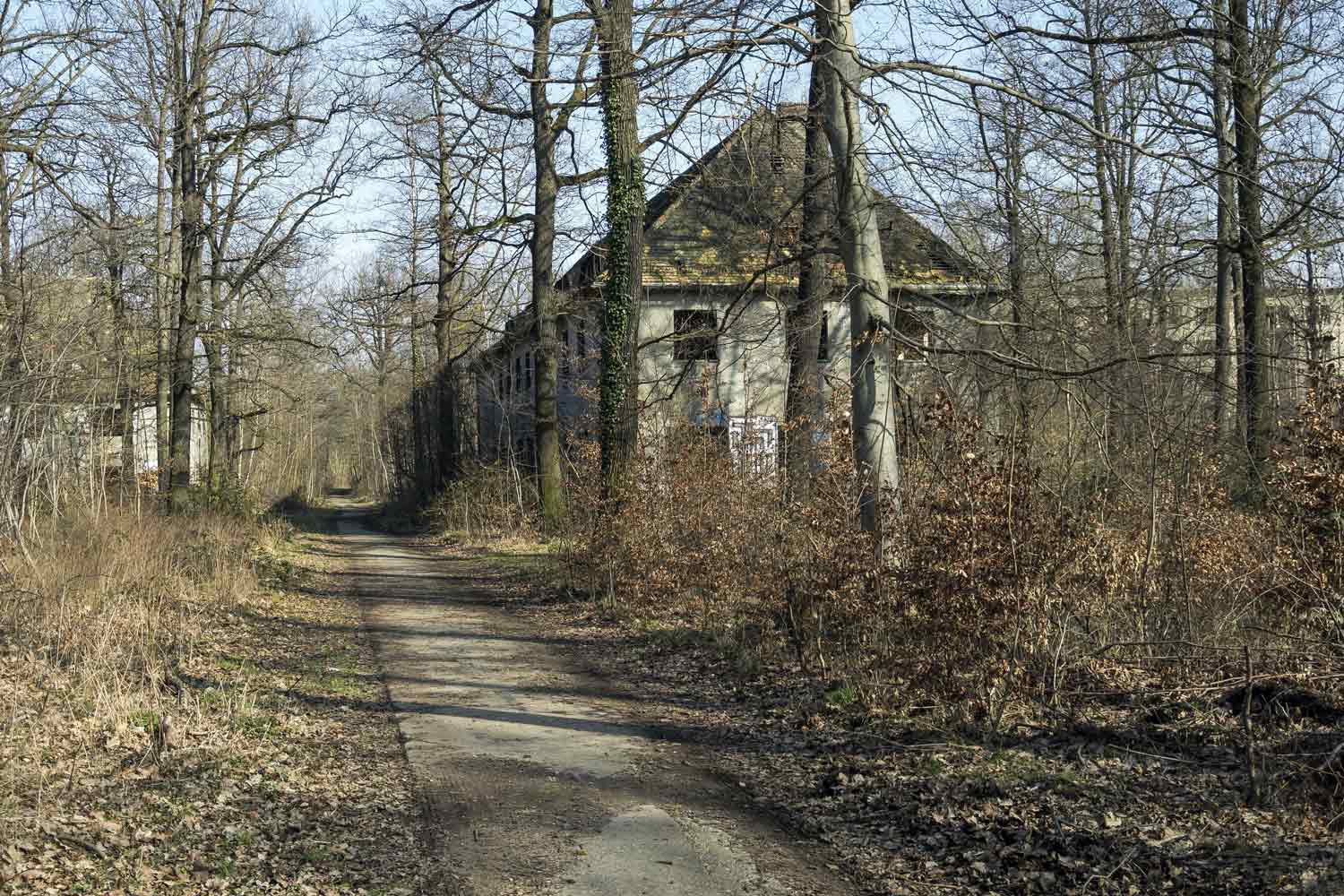 Das Gelände präsentiert sich als Ruinenstadt im hochgewachsenen Eichenwald Kasernenruinen am Waldweg